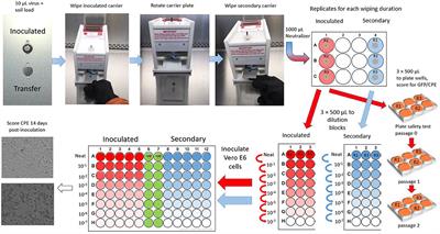 Comparison of the Efficacy of Disinfectant Pre-impregnated Wipes for Decontaminating Stainless Steel Carriers Experimentally Inoculated With Ebola Virus and Vesicular Stomatitis Virus